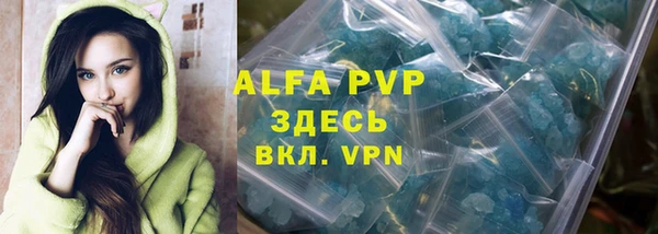 индика Алексин