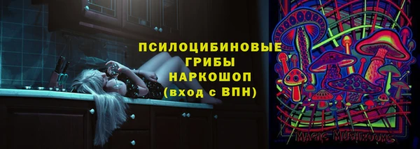 гашик Алексеевка