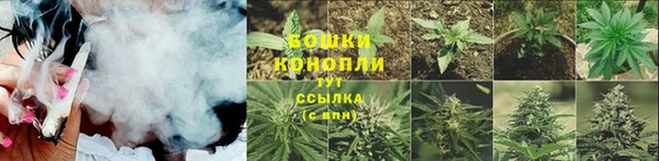 ПСИЛОЦИБИНОВЫЕ ГРИБЫ Алзамай