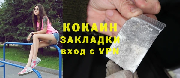 индика Алексин