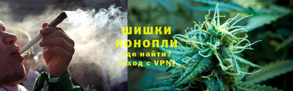 ПСИЛОЦИБИНОВЫЕ ГРИБЫ Алзамай