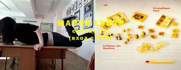 ПСИЛОЦИБИНОВЫЕ ГРИБЫ Алзамай