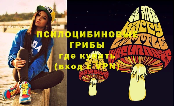 гашик Алексеевка