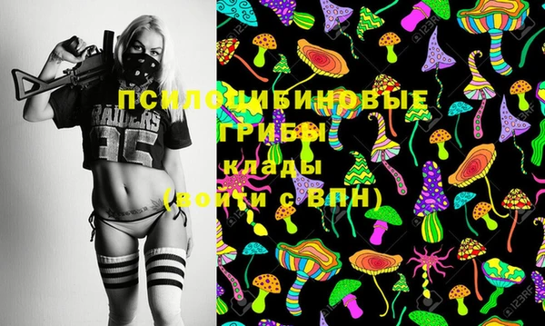 гашик Алексеевка