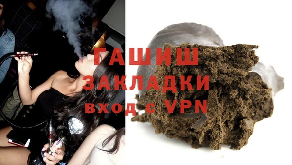 индика Медвежьегорск
