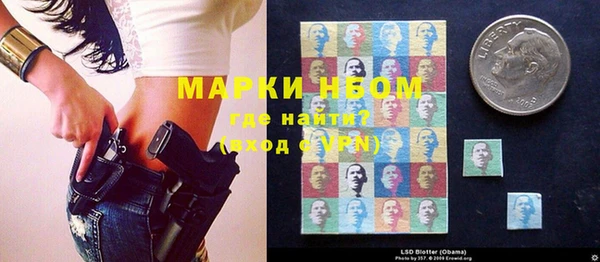 ПСИЛОЦИБИНОВЫЕ ГРИБЫ Алзамай