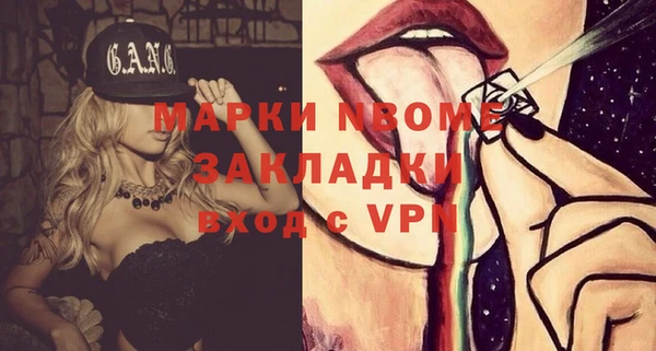 индика Алексин