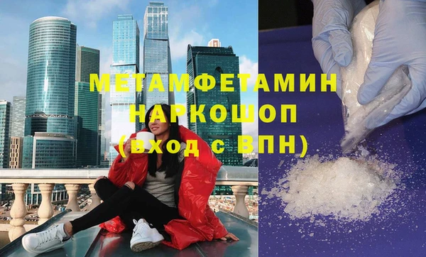 индика Алексин