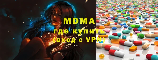 индика Алексин